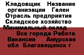 Кладовщик › Название организации ­ Гален › Отрасль предприятия ­ Складское хозяйство › Минимальный оклад ­ 20 000 - Все города Работа » Вакансии   . Амурская обл.,Благовещенск г.